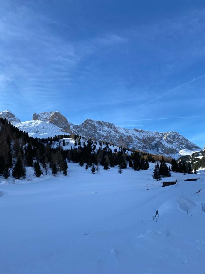 Appartamento Casa Fiemme Panchià Esterno foto